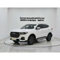 Haval H6 2021 National Trend Edition 1.5T Automatic Urban Edition