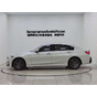 BMW 3 Series 320Li M Sport Package