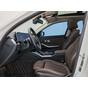 BMW 3 Series 320Li M Sport Package