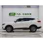 Haval H6 Trend Edition Champion Edition