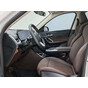 BMW X1 sDrive20Li X Design Package