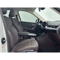 BMW X1 sDrive20Li X Design Package